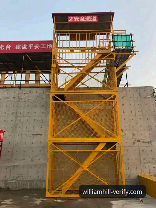 威廉希尔手机版入口：5个关键步骤帮你快速找到官方安全通道